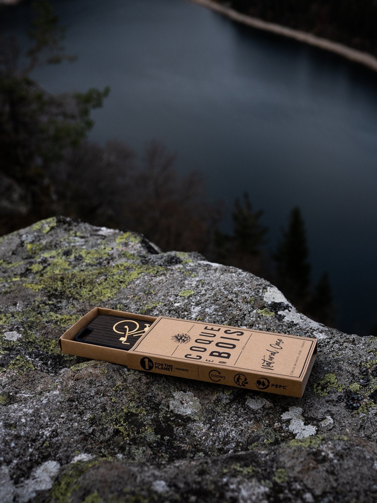 2020 – L’heure du Bilan chez COQUE EN BOIS - Coque en bois