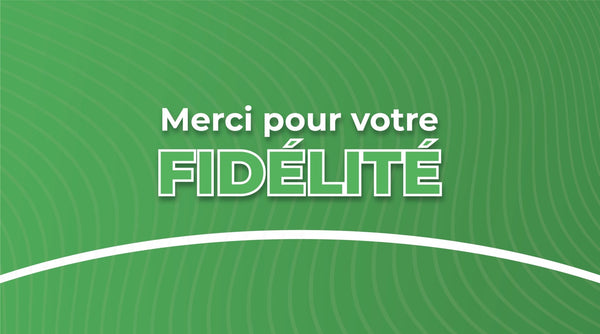 L'aventure prend fin. - Coque en bois